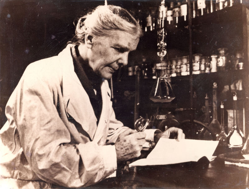 Elisa Leonida Zamfirescu